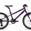 Giant ARX 20 purple.jpg