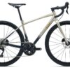 LIV Avail AR 1 Sandshell Cold Night - Endurance.jpg
