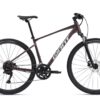 Giant Roam Disc 2 Charcoal Plum - Crossbike.jpg