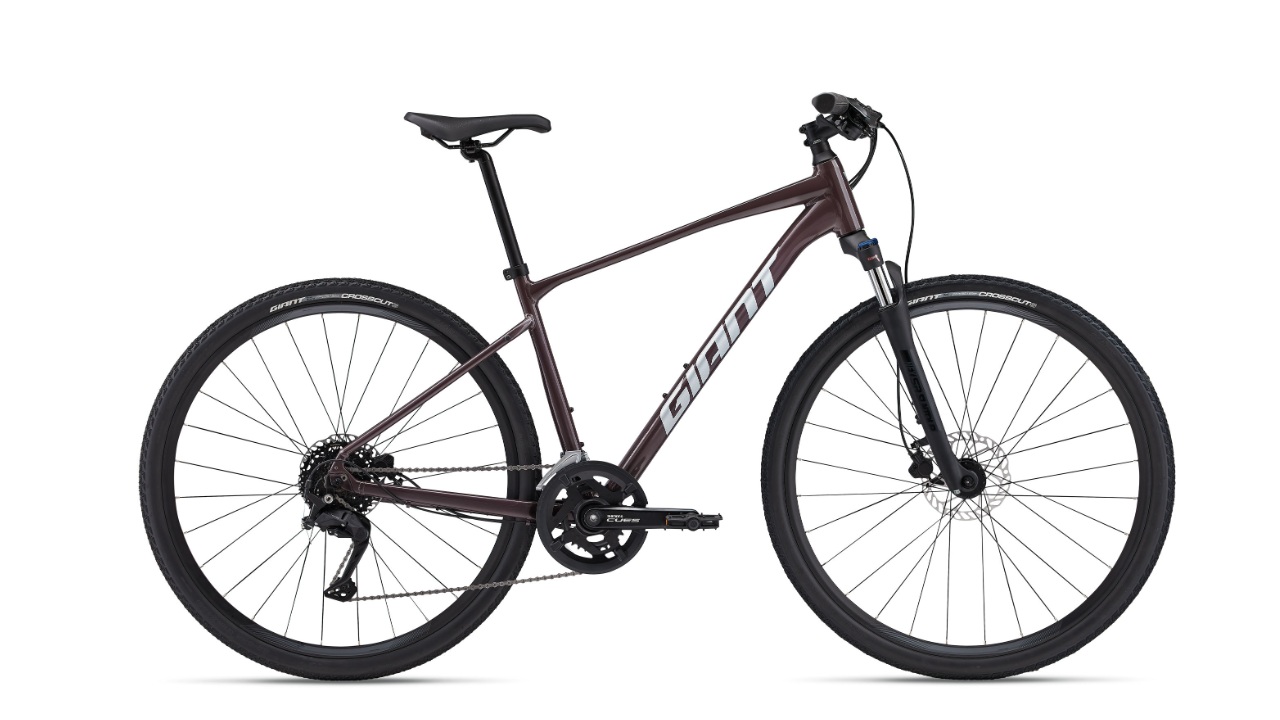 Giant Roam Disc 2 Charcoal Plum - Crossbike.jpg