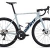 Giant Propel Advanced 2 supernova.jpg