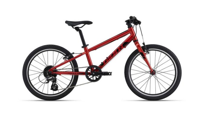 giant-arx-20-kinderrad-grenadine.jpg