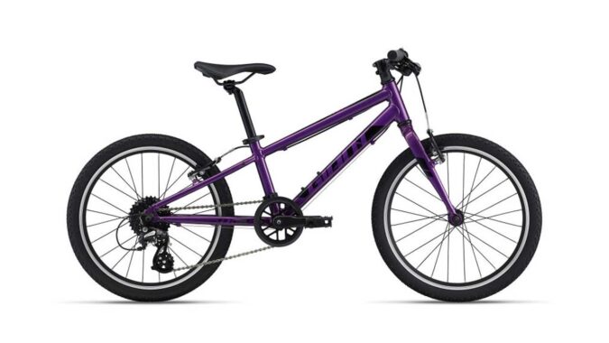 giant-arx-20-kinderrad-purple.jpg