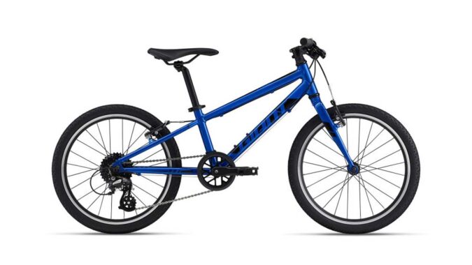giant-arx-20-kinderrad-sapphire.jpg