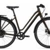 Liv Allure CS 0-Sport M Panther.jpg