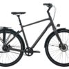 Giant AnyTour CS 1 Tactical Grey - Trekkingrad.jpg