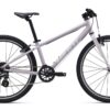 Giant ARX 24 Misty Lilac.jpg