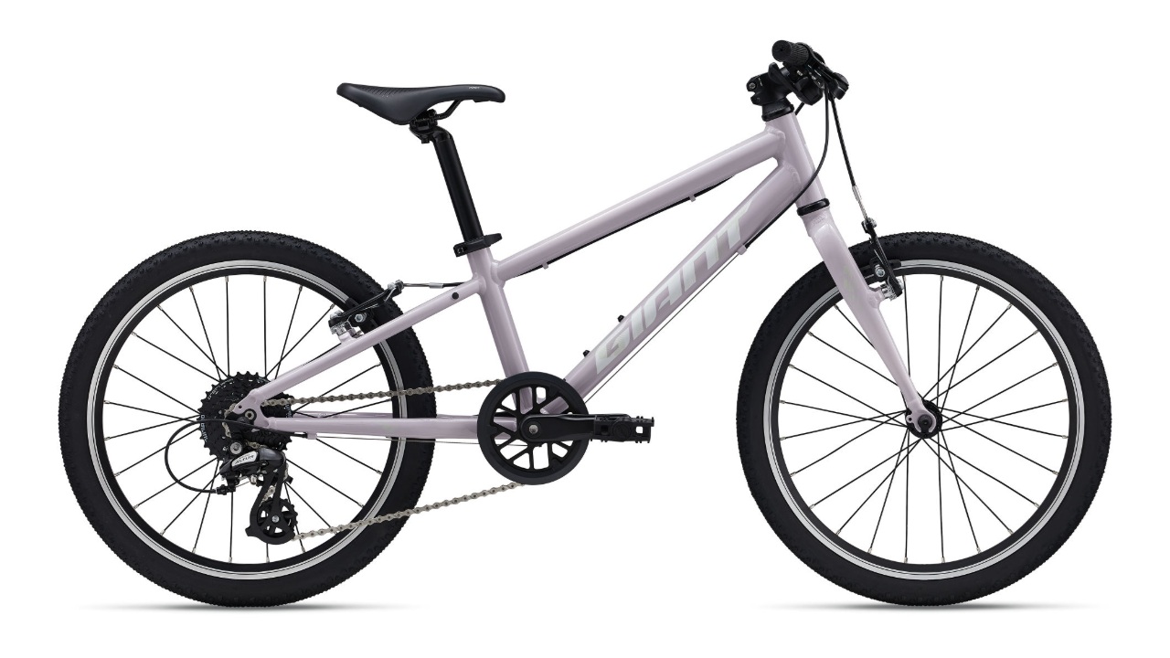 Giant ARX 20 Misty Lilac.jpg