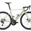 Liv Enviliv Advanced 2 - Desert Pearl Sl.jpg